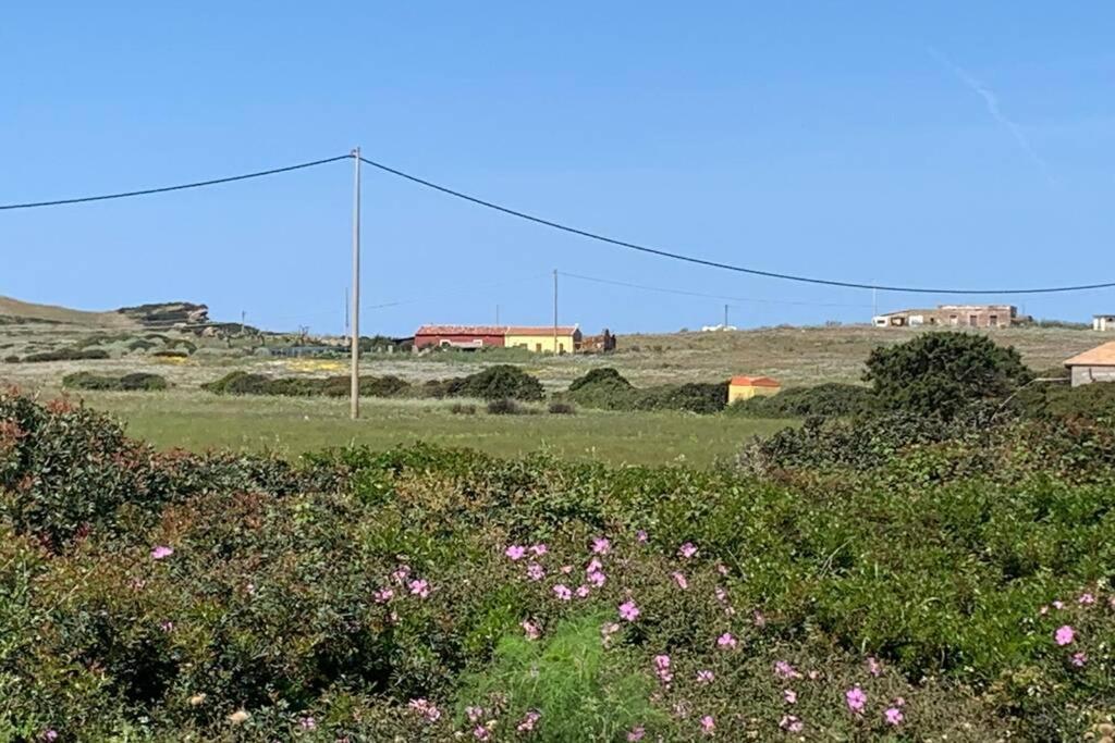 Cuile Nanni D'Oro Lejlighed Stintino Eksteriør billede